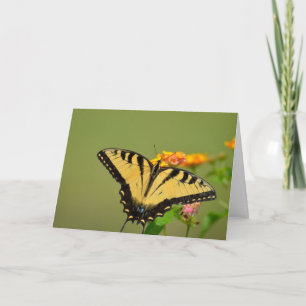 Frack Butterfly Notecard Karte
