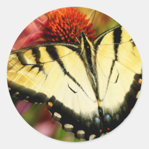 Frack Butterfly Runder Aufkleber