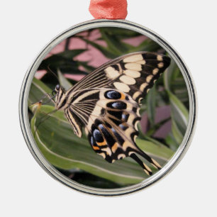 Frack Butterfly Silbernes Ornament