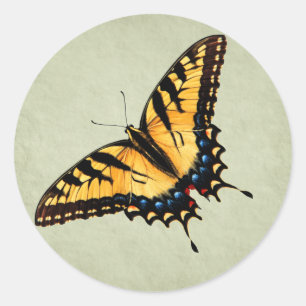 Frack Butterfly Sticker