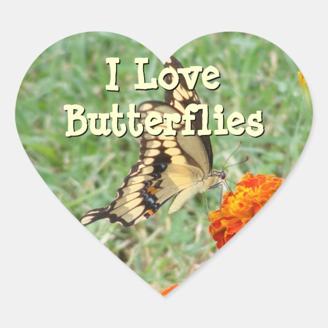Frack Butterfly Stickers (Vorderseite)