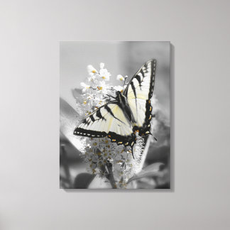 Frack Butterfly Stretched Canvas Print Leinwanddruck