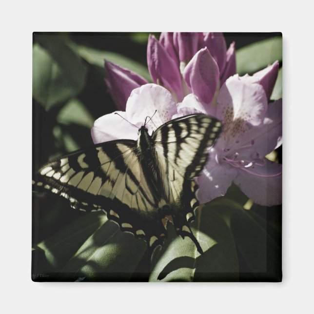 Frack & Rhododendron Magnet (Vorne)