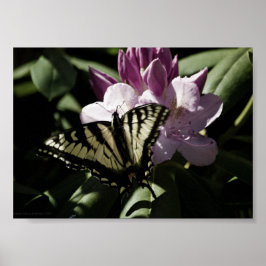 Frack & Rhododendron Print Poster