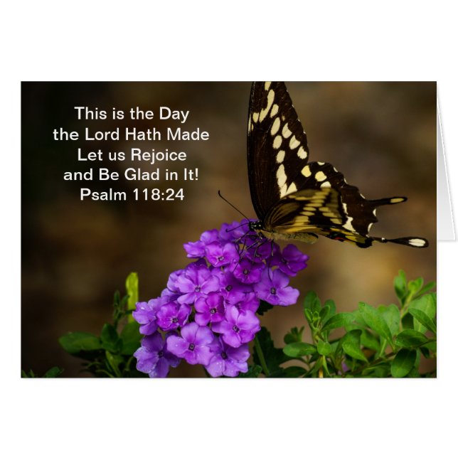 Frack-Schmetterling (Vorderseite (Horizontal))