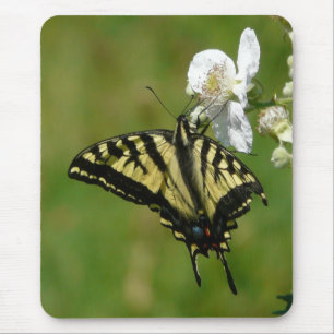 Frack-Schmetterling auf einer BlackBerry-Blüte Mousepad