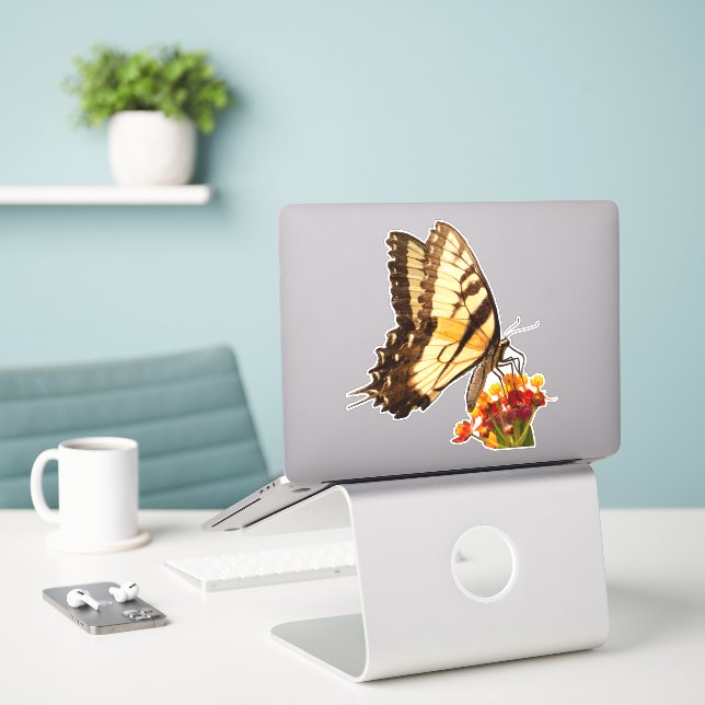 Frack-Schmetterling auf Milchkraut-Blume Aufkleber (Laptop auf Schreibtisch)