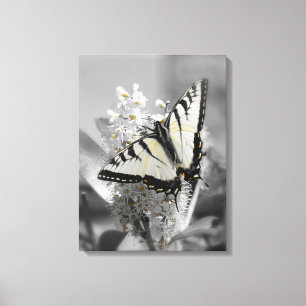 Frack-Schmetterling dehnte Leinwand-Druck aus Leinwanddruck