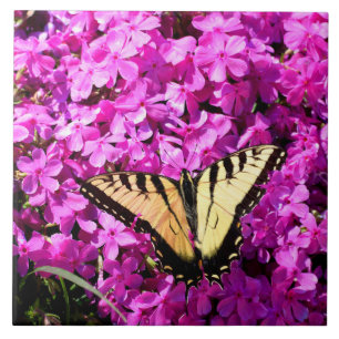 Frack-Schmetterling im Blume Fliese
