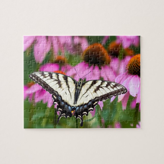 Frack-Schmetterling im Ostteil Puzzle (Horizontal)
