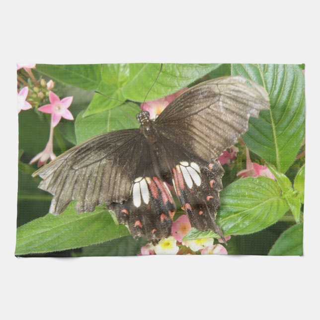 Frack Schmetterling Makro Handtuch (Horizontal)