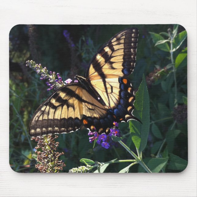 Frack-Schmetterling Mousepad (Vorne)