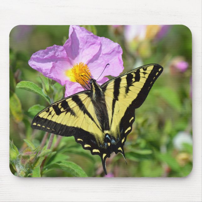 Frack-Schmetterling Mousepad (Vorne)