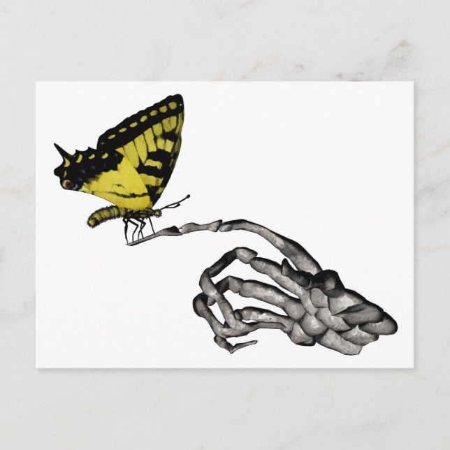 Frack-Schmetterling Postkarte (Vorderseite)