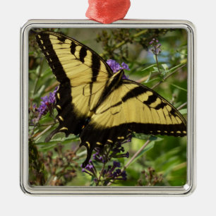 Frack über Butterfly Bush Silbernes Ornament
