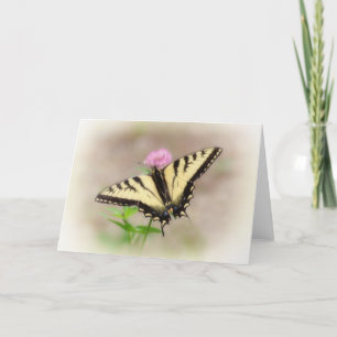 Frack über Clover - Schmetterling Feiertagskarte