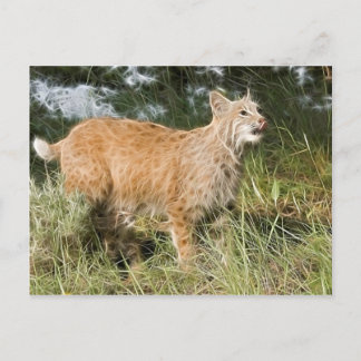 Fractalius Bobcat Postkarte