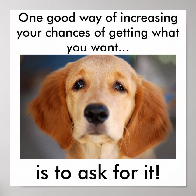 Frag für das, was du will poster (Vorne)