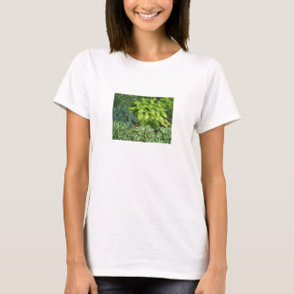 Frag mir über mein T-Shirt in der Jugendherberge