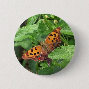 Frage Mark Butterfly über Lantana Button