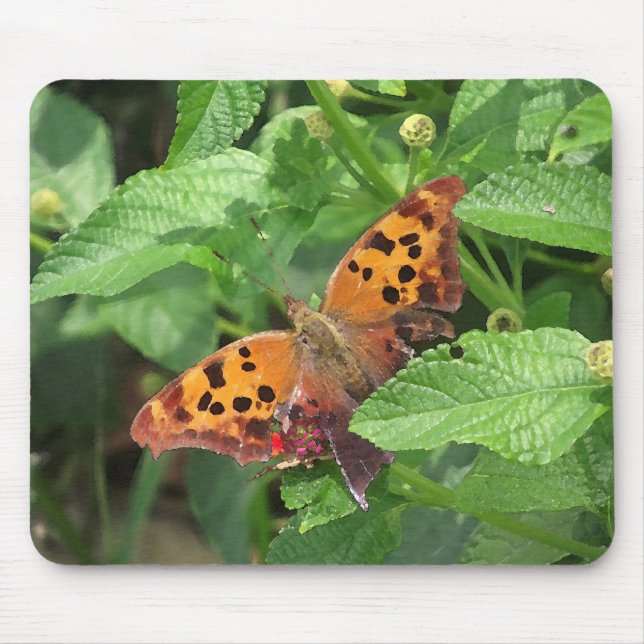 Frage Mark Butterfly über Lantana Mousepad (Vorne)