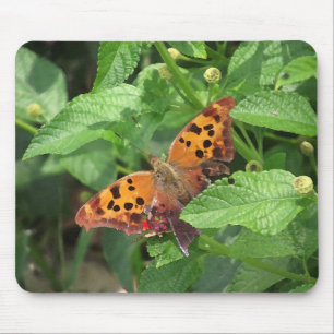 Frage Mark Butterfly über Lantana Mousepad