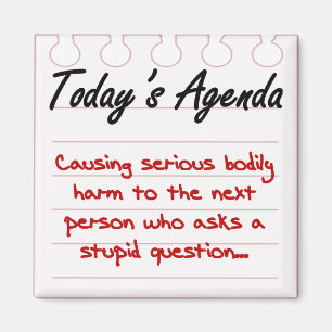 Fragen Sie nicht dumme Fragen Magnet