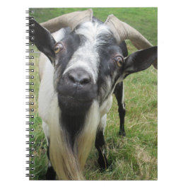 Fragen von Minds Notizblock