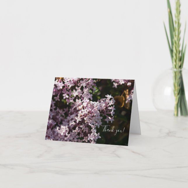 Fragrant Lilac Danke-Karte Dankeskarte (Vorderseite)