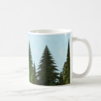 Fraktal Firs