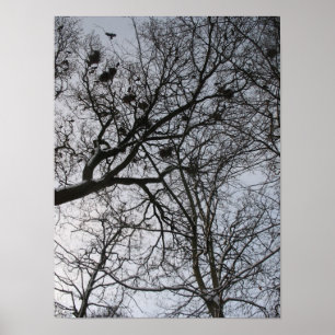 Fraktale in Nature: Crows Foto Poster Art