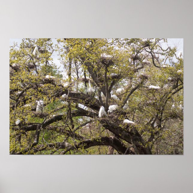 Fraktion Poster (Vorne)