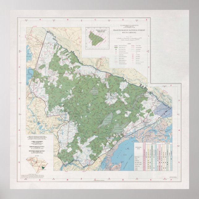 Francis Marion National Forest Map (1981) Poster (Vorne)