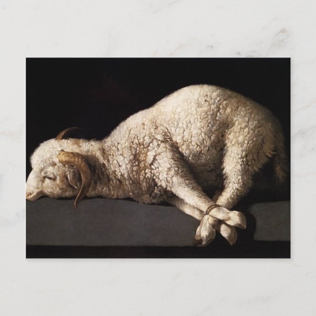 Francisco de Zurbaran - Agnus Dei Postkarte (Vorderseite)