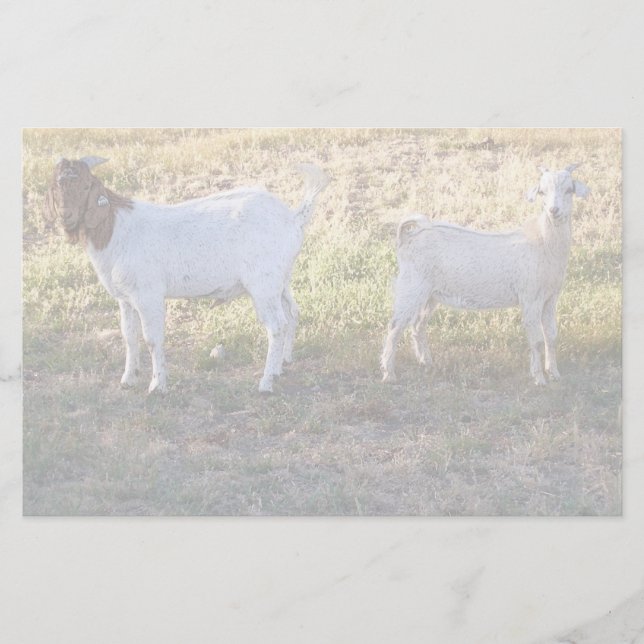 Franco und Freund Briefpapier (Vorderseite)