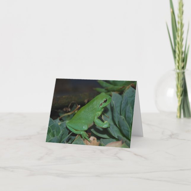 Francoise der Frosch Feiertagskarte (Vorderseite)