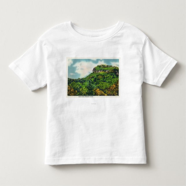 Franconia Kerben-Staats-Park-Ansicht des indischen Kleinkind T-shirt (Vorderseite)