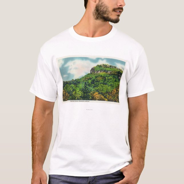 Franconia Kerben-Staats-Park-Ansicht des indischen T-Shirt (Vorderseite)