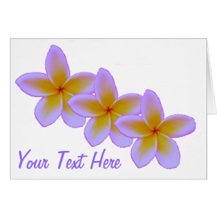 Frangipani