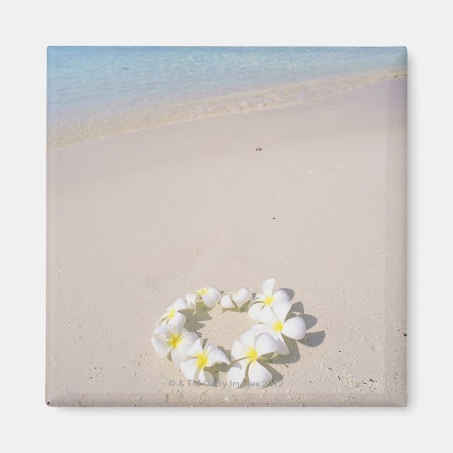 Frangipani am Strand Magnet (Vorne)