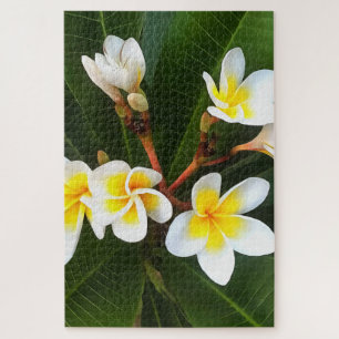 Frangipani Blossom Cluster Artistic Style Puzzle