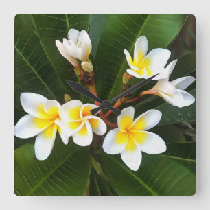 Frangipani Blossom Cluster Artistic Style Quadratische Wanduhr