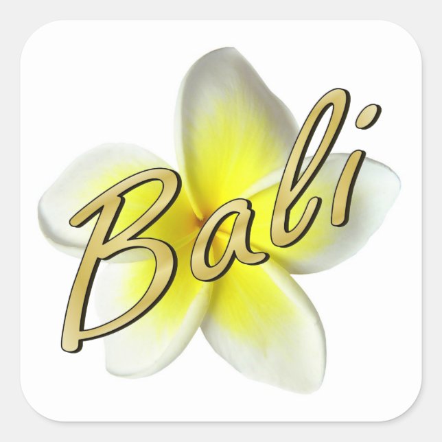 Frangipani Blossom Quadratischer Aufkleber (Vorderseite)