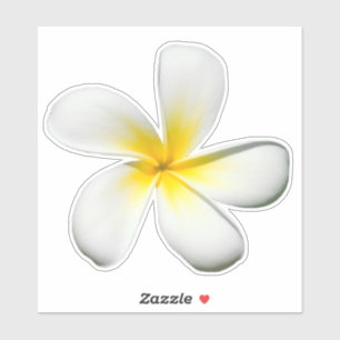 Frangipani Blossom Sticker