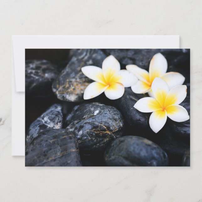 Frangipani-Blume (Vorderseite)