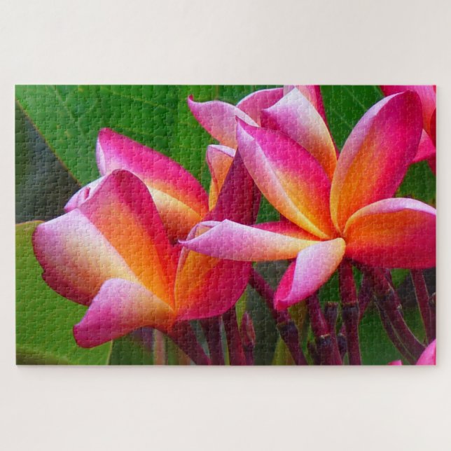 Frangipani-Blume-Puzzle Puzzle (Horizontal)