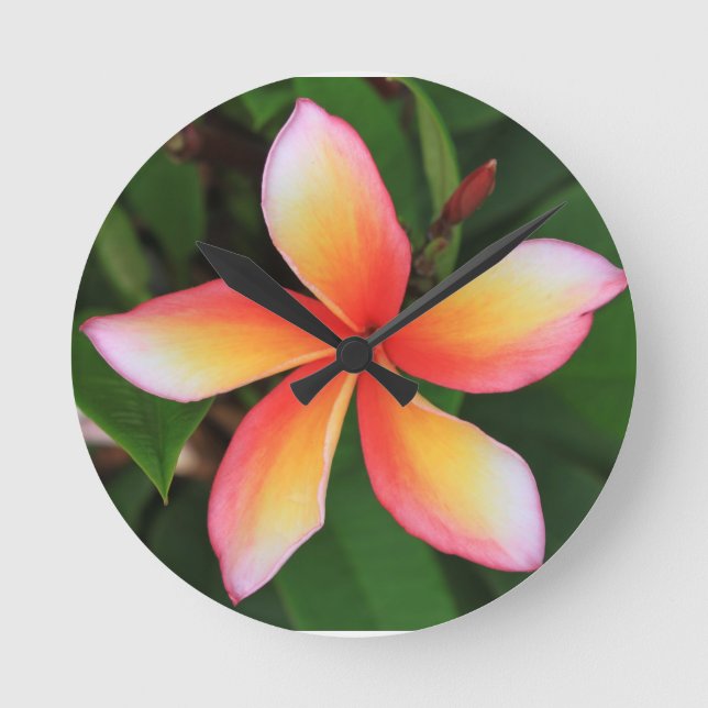 Frangipani-Blume Runde Wanduhr (Vorderseite)