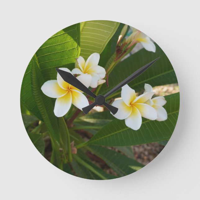 Frangipani-Blume Runde Wanduhr (Vorderseite)