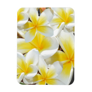 Frangipani Bouquet, Flexible Magnet