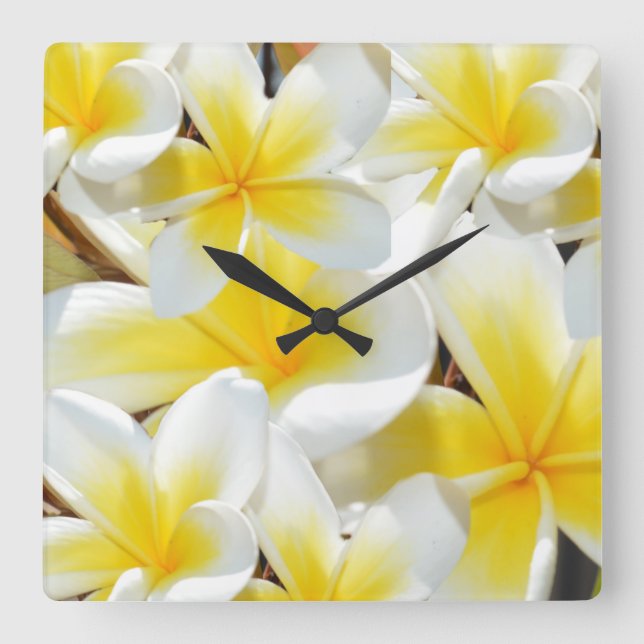 Frangipani Bouquet, große Uhr an der Wand. (Vorderseite)